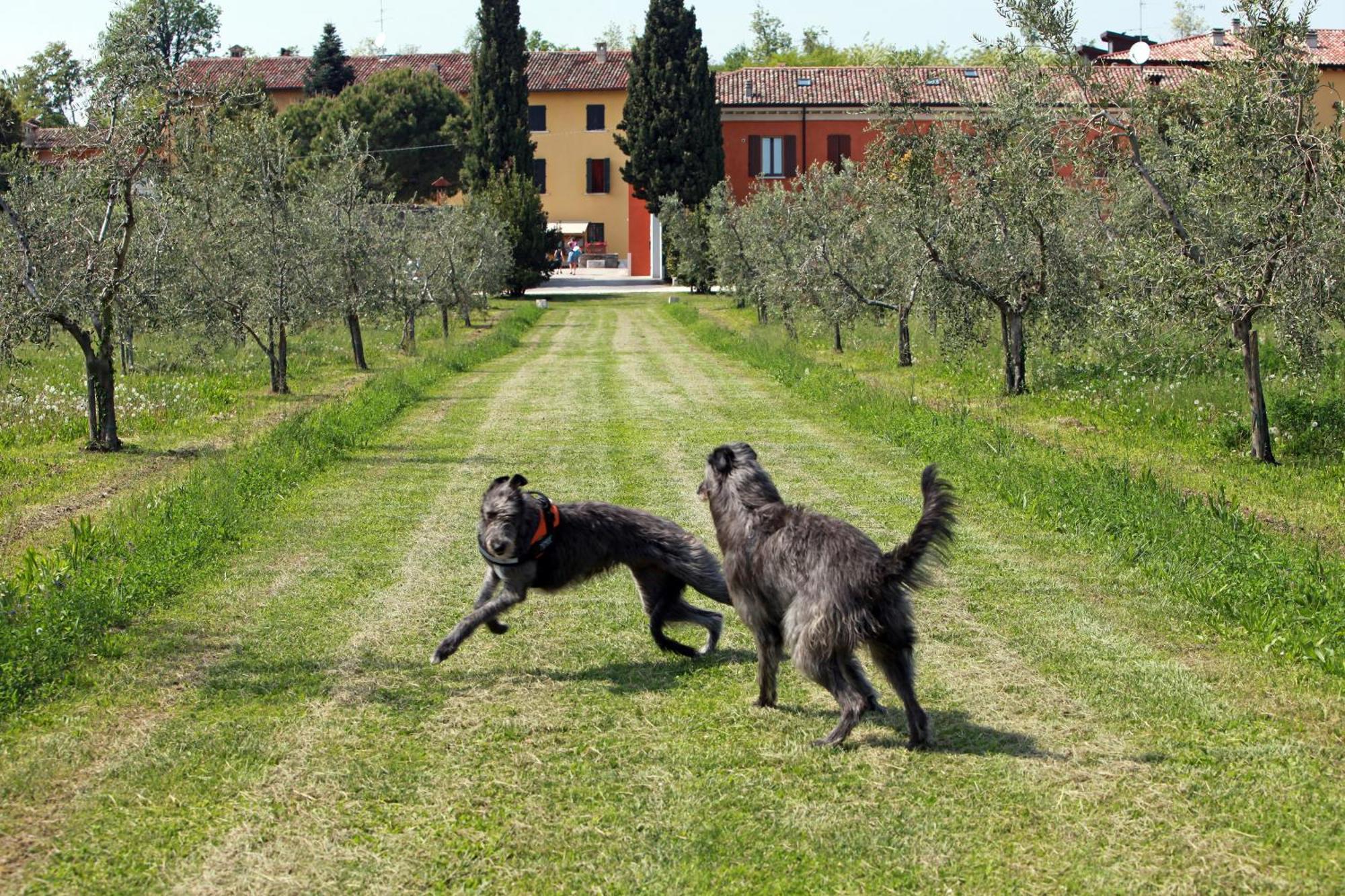 Agriturismo La Filanda Манерба-дель-Гарда Экстерьер фото